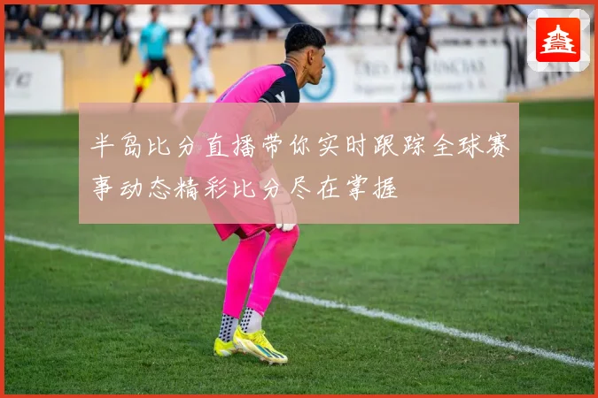 半岛比分直播带你实时跟踪全球赛事动态精彩比分尽在掌握